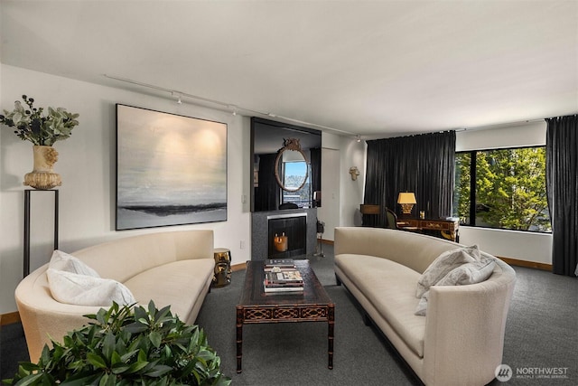 3650 26th Pl W Unit 202A, Seattle, WA 98199 - living room with carpet flooring, track lighting, and a fireplace
