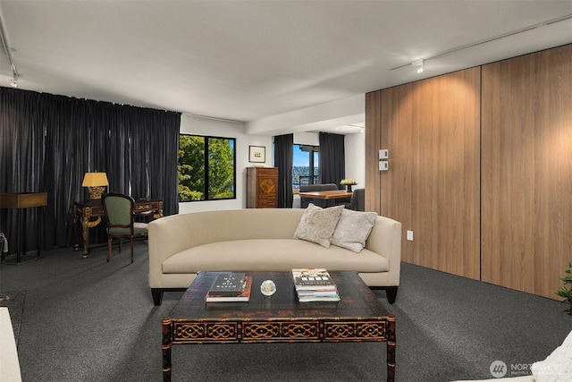 3650 26th Pl W Unit 202A, Seattle, WA 98199 - living area featuring carpet floors and rail lighting