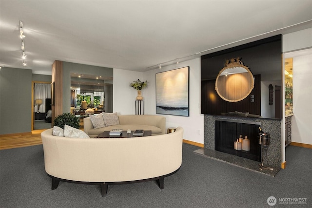 3650 26th Pl W Unit 202A, Seattle, WA 98199 - carpeted living room featuring track lighting and a fireplace with raised hearth