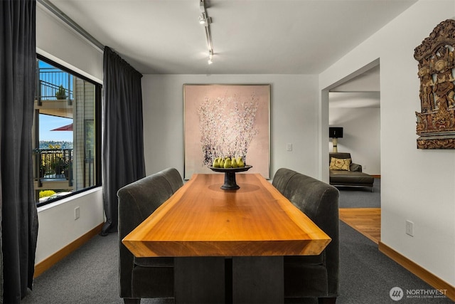 3650 26th Pl W Unit 202A, Seattle, WA 98199 - dining room with rail lighting and carpet floors