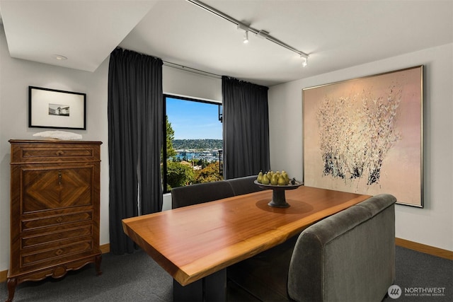3650 26th Pl W Unit 202A, Seattle, WA 98199 - carpeted dining area with track lighting and baseboards
