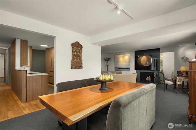 3650 26th Pl W Unit 202A, Seattle, WA 98199 - dining room featuring rail lighting and light colored carpet