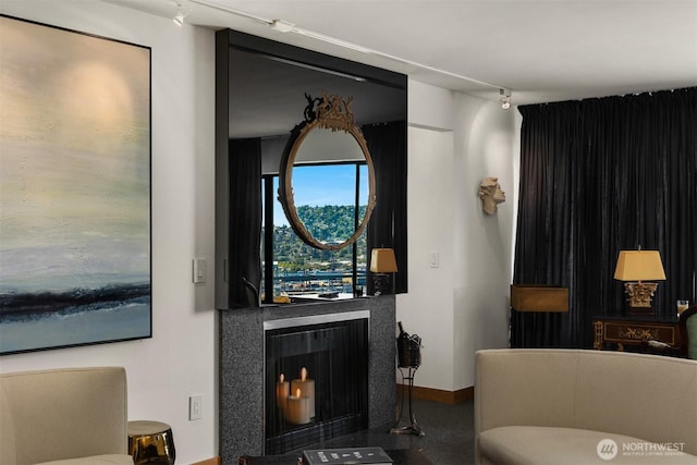 3650 26th Pl W Unit 202A, Seattle, WA 98199 - living room featuring a fireplace and track lighting