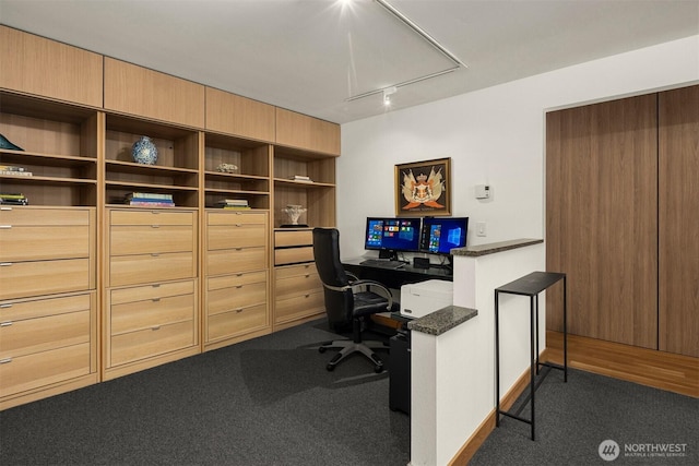 3650 26th Pl W Unit 202A, Seattle, WA 98199 - home office featuring attic access, dark carpet, and rail lighting