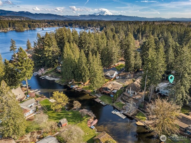 22426 SE 300th St, Black Diamond, WA 98010 - photo 33