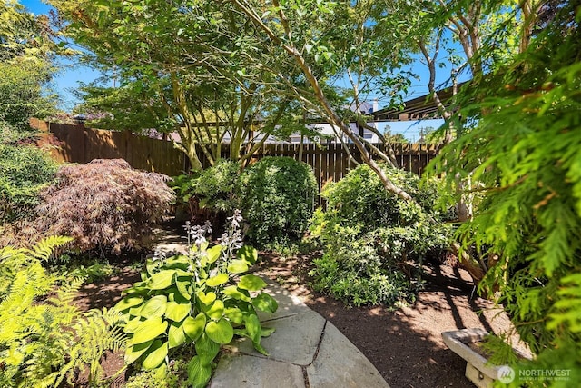 5817 28th Ave NW, Seattle, WA 98107 - view of yard