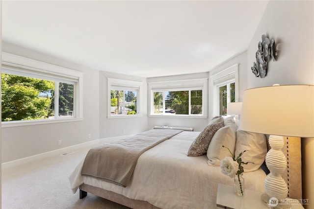 3055 49th Ave SW, Seattle, WA 98116 - bedroom featuring multiple windows and carpet