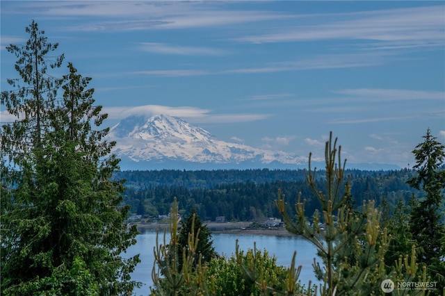 7957 E Trailside Ln, Port Orchard, WA 98366 - photo 2
