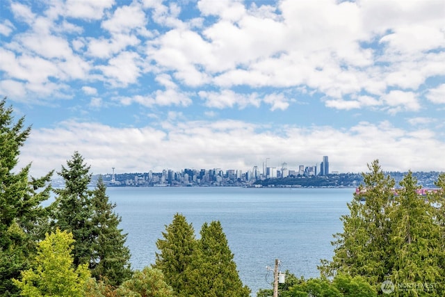 7957 E Trailside Ln, Port Orchard, WA 98366 - photo 25