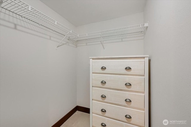 201 Galer St Unit 362, Seattle, WA 98109 - view of spacious closet