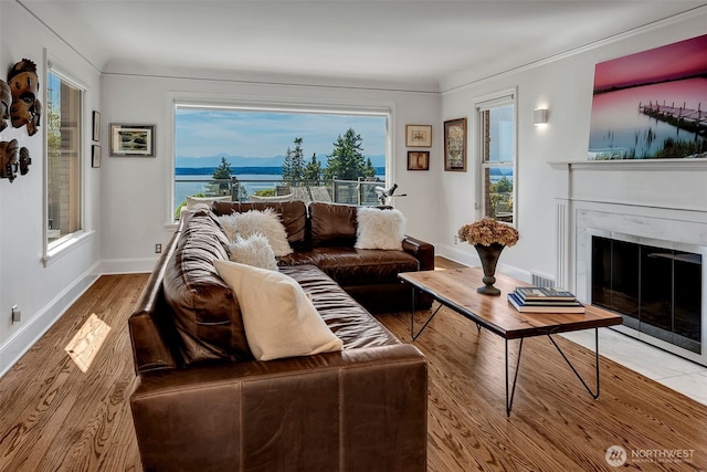 3006 43rd Ave W, Seattle, WA 98199 - living room featuring a fireplace with flush hearth, plenty of natural light, and wood finished floors