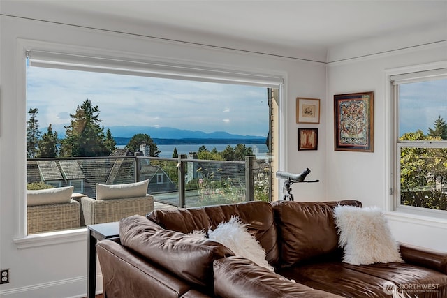 3006 43rd Ave W, Seattle, WA 98199 - living area featuring a water and mountain view