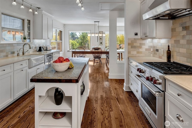 3006 43rd Ave W, Seattle, WA 98199 - kitchen with range hood, open shelves, stainless steel appliances, dark wood-style floors, and white cabinets