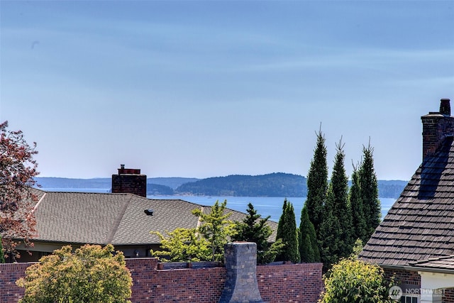 3006 43rd Ave W, Seattle, WA 98199 - mountain view with a nearby body of water
