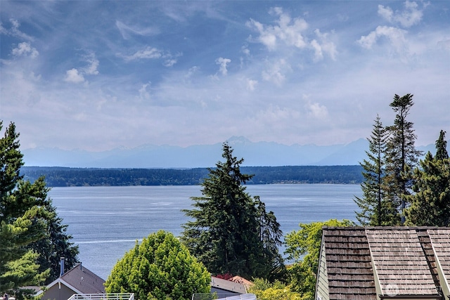 3006 43rd Ave W, Seattle, WA 98199 - water view featuring mountains