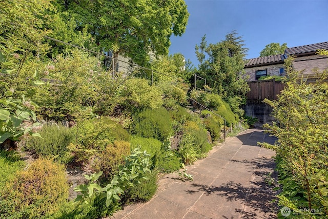 3006 43rd Ave W, Seattle, WA 98199 - view of yard