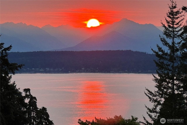 3006 43rd Ave W, Seattle, WA 98199 - water view featuring a mountain backdrop