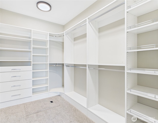 884 NE Tyler Pl E, Wenatchee, WA 98802 - walk in closet with carpet