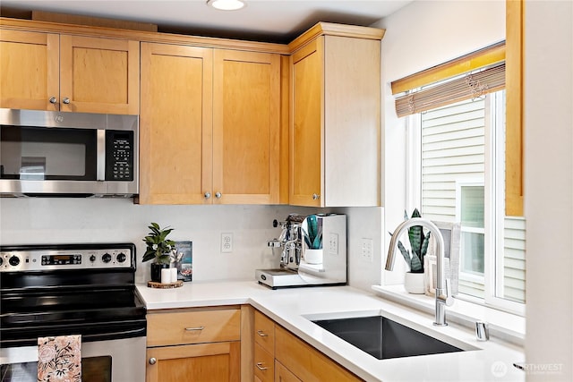 9239 Ashworth Ave N Unit B, Seattle, WA 98103 - photo 26