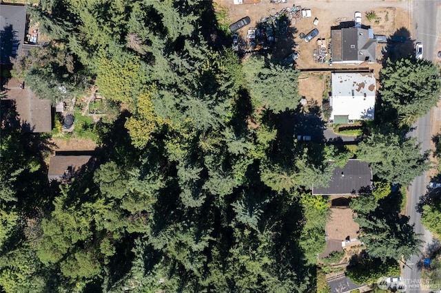11321 30th Ave NE, Seattle, WA 98125 - photo 33
