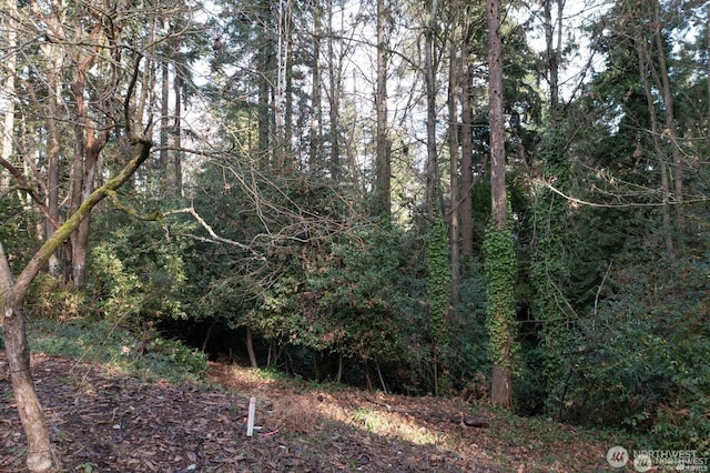 11321 30th Ave NE, Seattle, WA 98125 - photo 34
