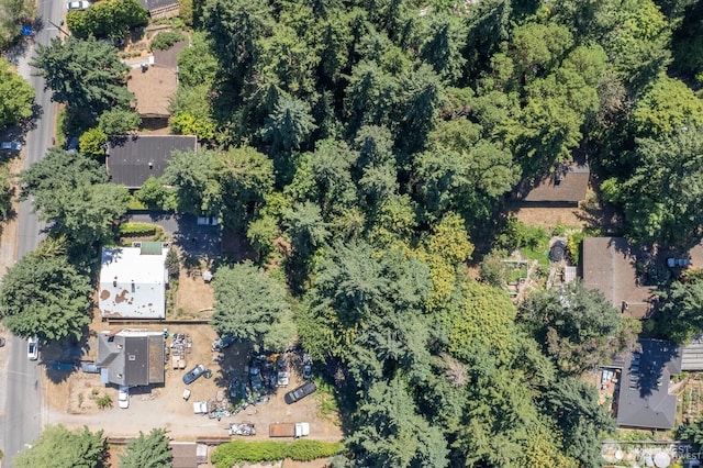 11321 30th Ave NE, Seattle, WA 98125 - photo 37
