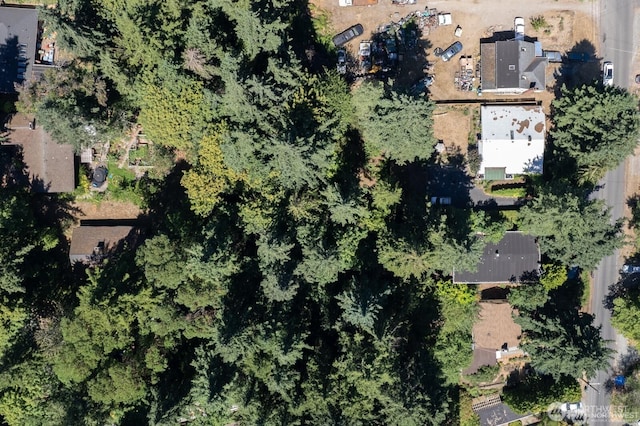 11321 30th Ave NE, Seattle, WA 98125 - photo 39