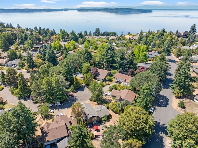 118 Lila St, Steilacoom, WA 98388 - photo 3
