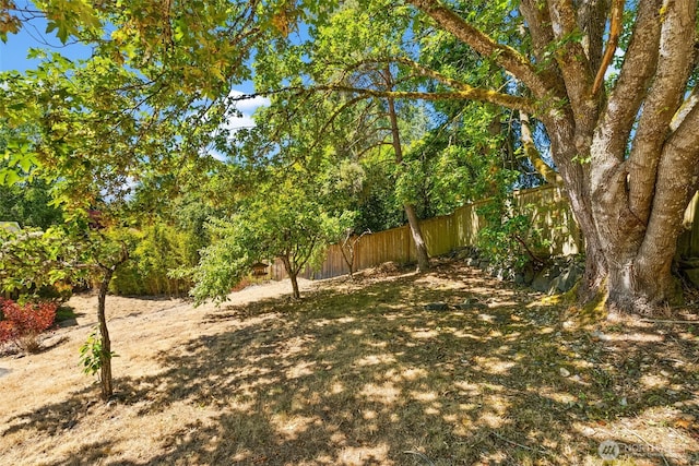 118 Lila St, Steilacoom, WA 98388 - photo 37