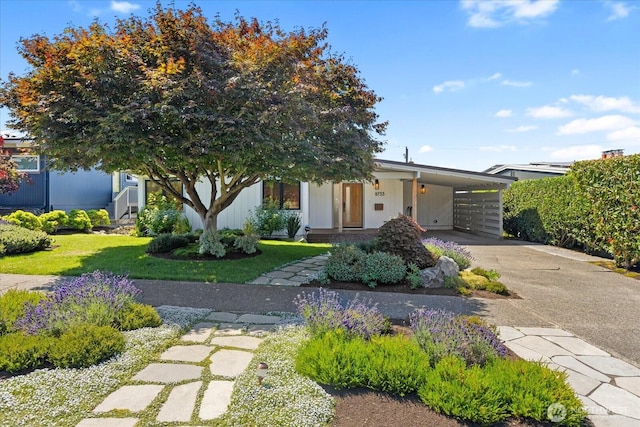8733 21st Ave NW, Seattle, WA 98117 - view of front facade with concrete driveway, a carport, and a front yard