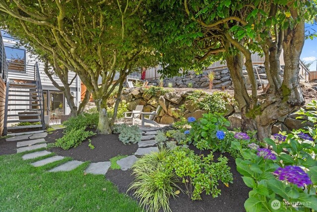 8733 21st Ave NW, Seattle, WA 98117 - view of yard