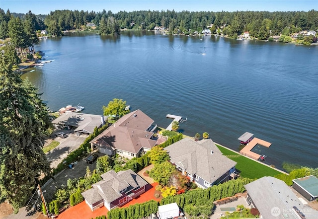 3844 Long Lake Loop SE, Olympia, WA 98503 - aerial view of residential area with a nearby body of water