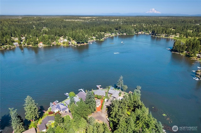 3844 Long Lake Loop SE, Olympia, WA 98503 - drone / aerial view of a forest and a large body of water