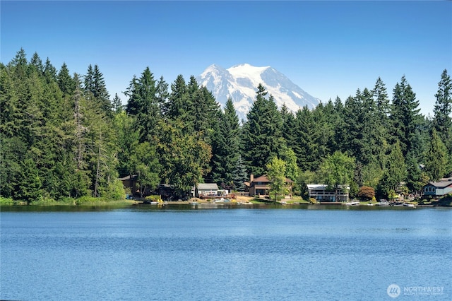 3844 Long Lake Loop SE, Olympia, WA 98503 - water view with a mountain backdrop and a heavily wooded area