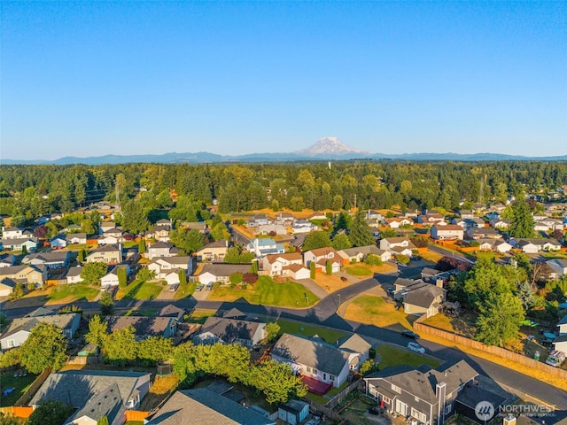 4111 218th St E, Spanaway, WA 98387 - photo 26
