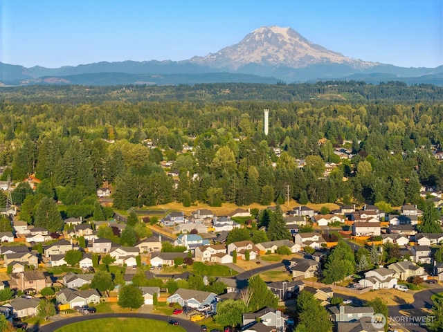 4111 218th St E, Spanaway, WA 98387 - photo 27