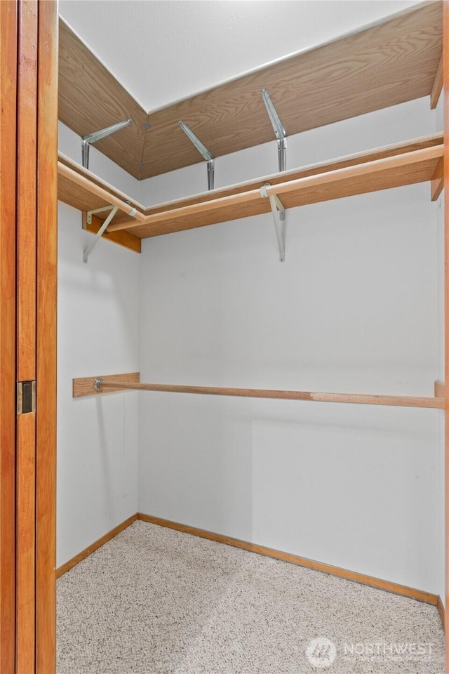 4867 N Village Ln, Bellingham, WA 98226 - spacious closet with carpet floors