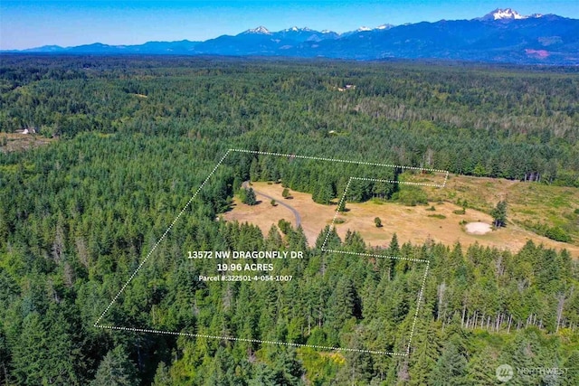 13572 Dragonfly Dr, Seabeck, WA 98380 - photo 1