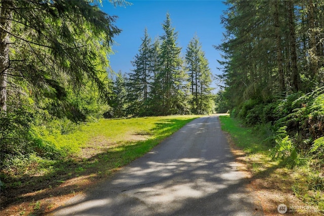 13572 Dragonfly Dr, Seabeck, WA 98380 - photo 6