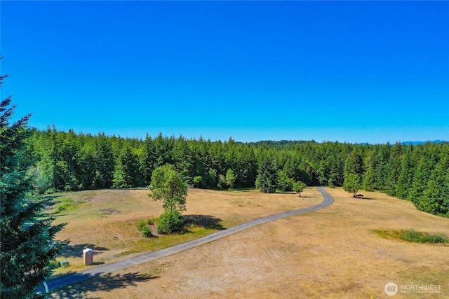 13572 Dragonfly Dr, Seabeck, WA 98380 - photo 11