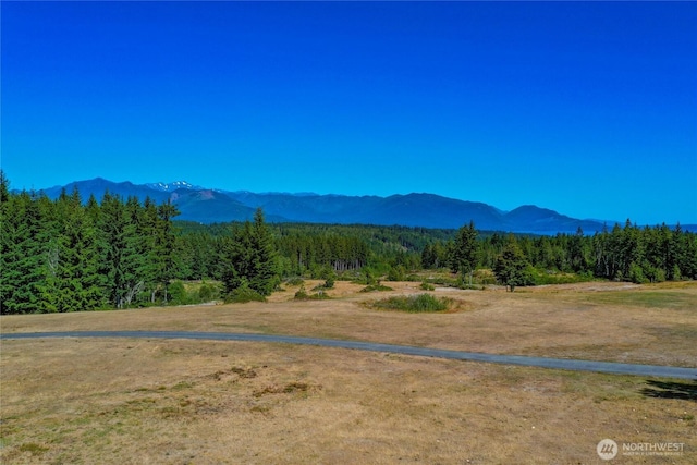 13572 Dragonfly Dr, Seabeck, WA 98380 - photo 12