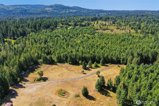 13572 Dragonfly Dr, Seabeck, WA 98380 - photo 17