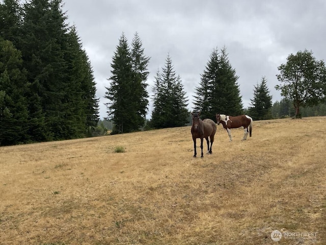 13572 Dragonfly Dr, Seabeck, WA 98380 - photo 13
