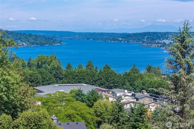 8113 S 121st St, Seattle, WA 98178 - aerial view of a large body of water