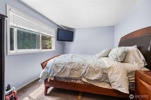 8113 S 121st St, Seattle, WA 98178 - bedroom featuring a textured ceiling and carpet flooring