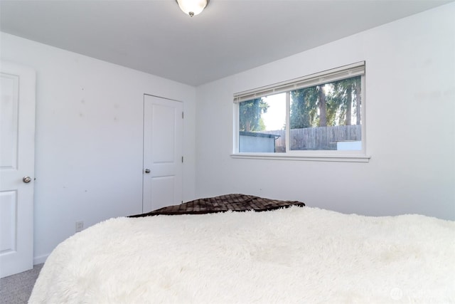 7718 50th Ave E, Tacoma, WA 98443 - view of carpeted bedroom