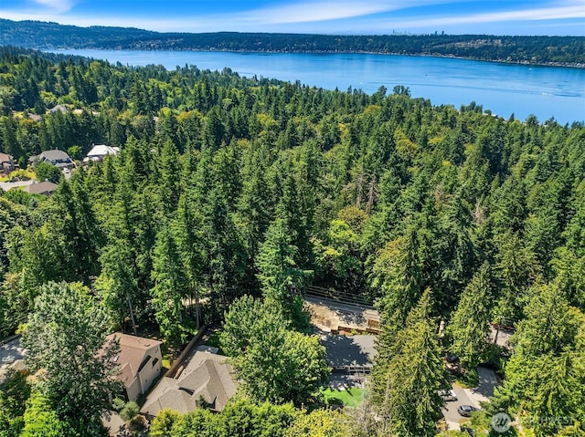 22 Louis Thompson Rd SE, Sammamish, WA 98074 - photo 38