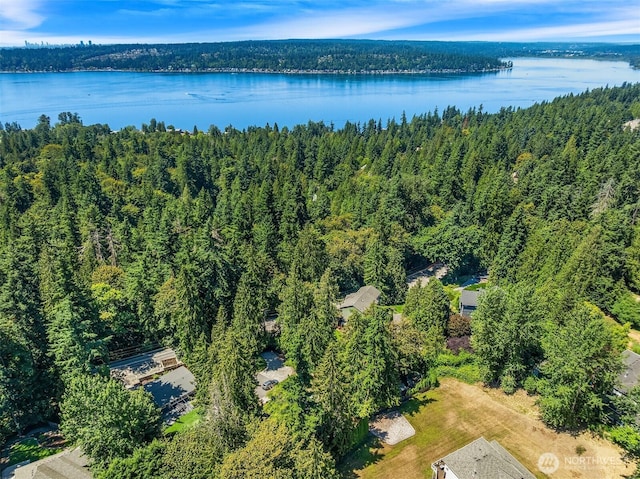 22 Louis Thompson Rd SE, Sammamish, WA 98074 - photo 39