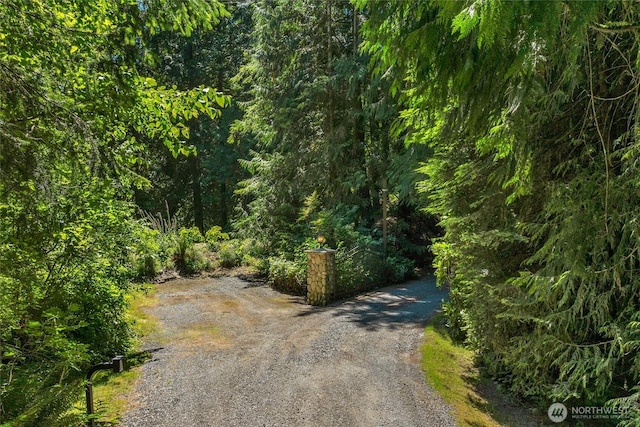 19808 Yew Way, Snohomish, WA 98296 - view of street with a wooded view