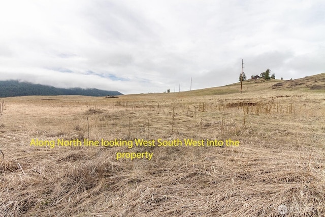 3XX Addy Gifford Rd, Gifford, WA 99131 - photo 5